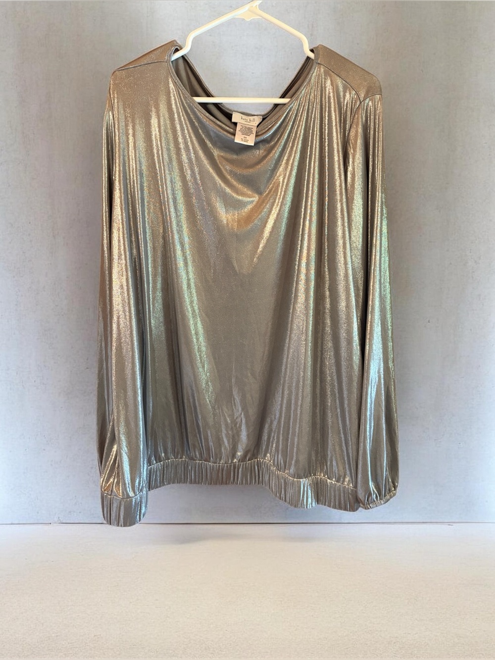 Kate Hill Plus Size Silver Shimmer Blouse Size 3X New